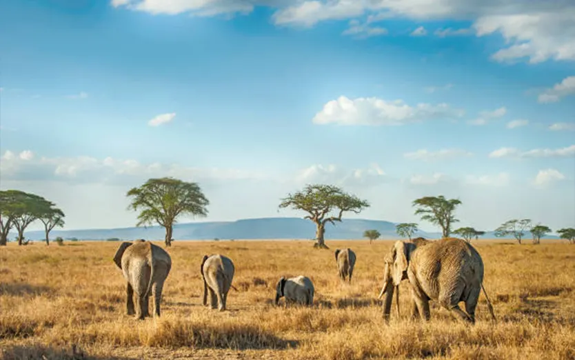 Arusha, Tanzania